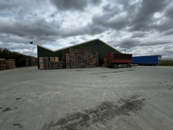 Opslagterrein aan de Graaf van Lynden van Sandenburgweg met opgestapelde houten pallets, een loods en twee vrachtwagenopleggers.